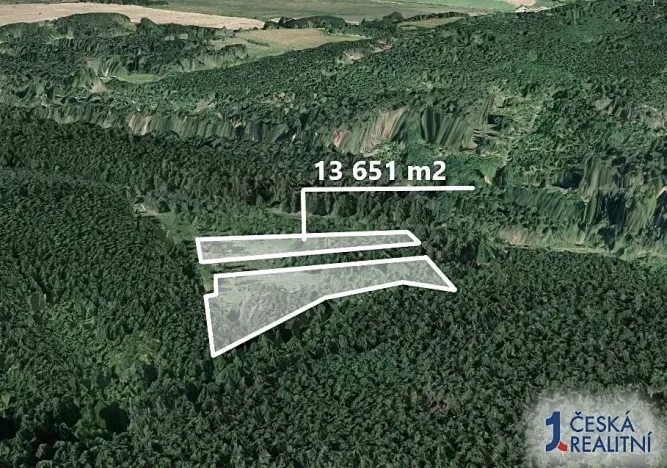 Prodej lesa, Dačice, 13651 m2