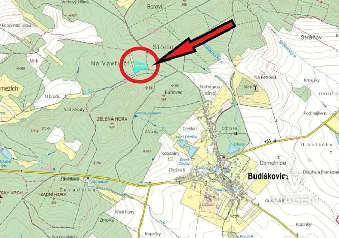 Prodej lesa, Dačice, 13651 m2