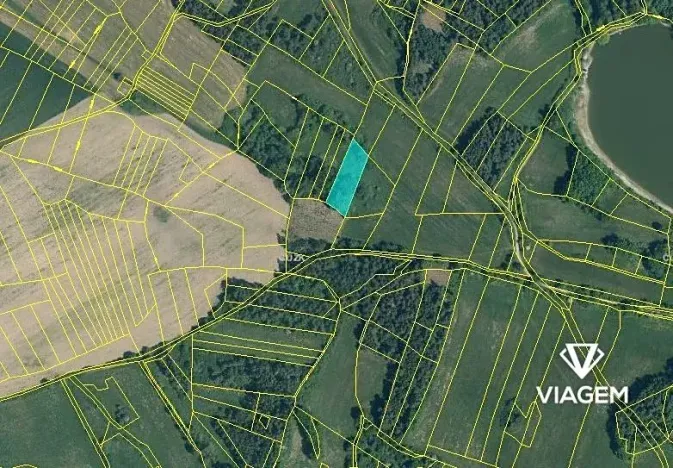 Prodej podílu lesa, Chanovice, 1232 m2