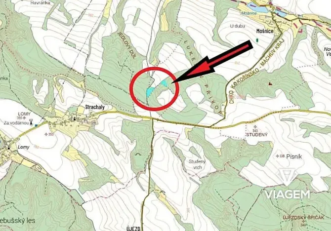 Prodej podílu lesa, Snědovice, 4193 m2