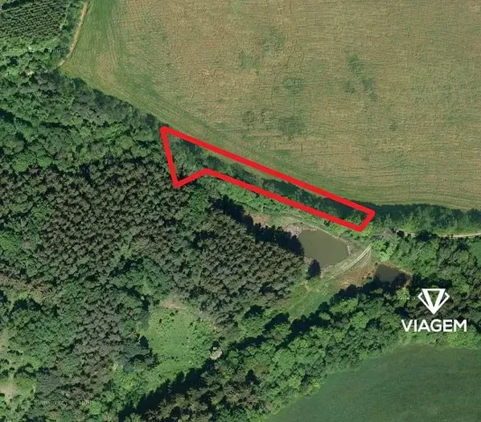 Prodej podílu lesa, Horní Poříčí, 1352 m2