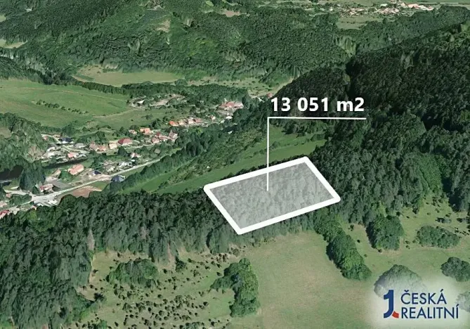 Prodej podílu lesa, Koroužné, 3262 m2