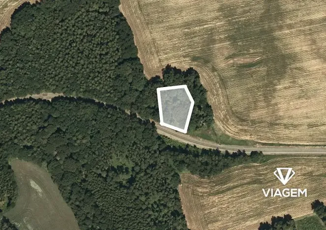 Prodej podílu lesa, Mladějov na Moravě, 1594 m2