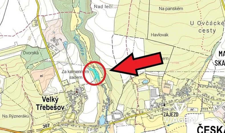 Prodej podílu lesa, Velký Třebešov, 586 m2