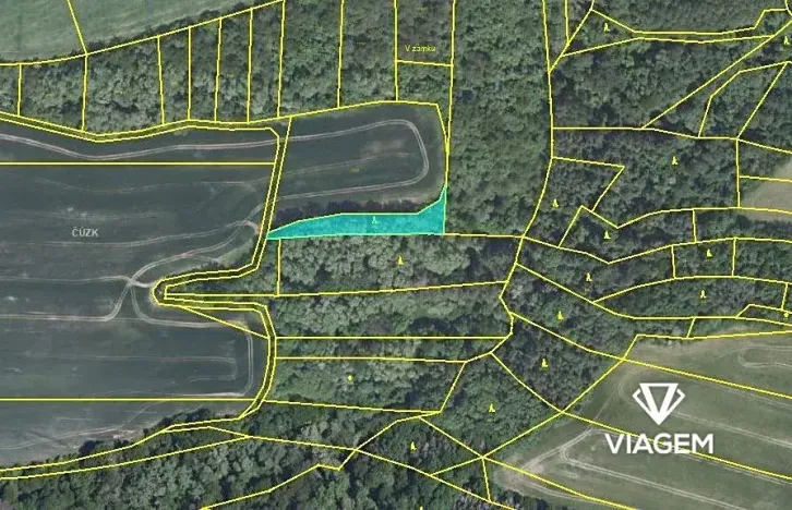 Prodej podílu lesa, Pavlíkov, 690 m2