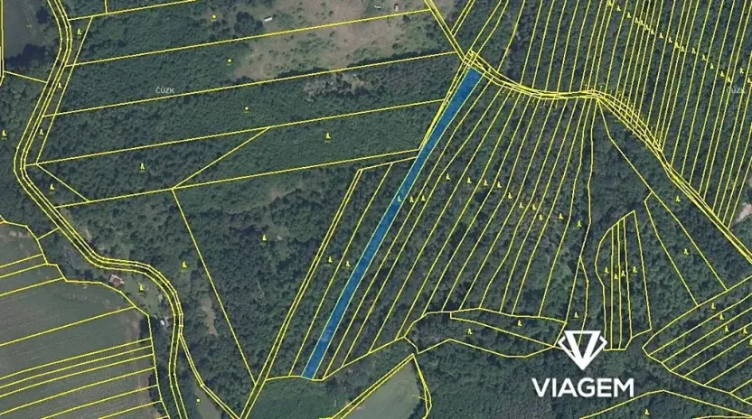 Prodej podílu lesa, Rybníky, 2317 m2