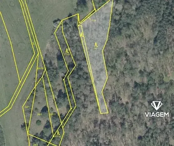 Prodej podílu lesa, Nový Hrozenkov, 220 m2