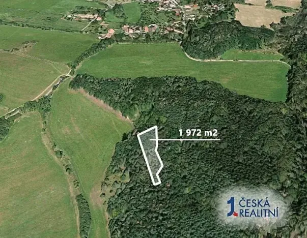 Prodej podílu lesa, Nový Hrozenkov, 220 m2