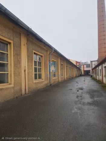 Prodej výrobních prostor, Klatovy, Franty Šumavského, 1098 m2