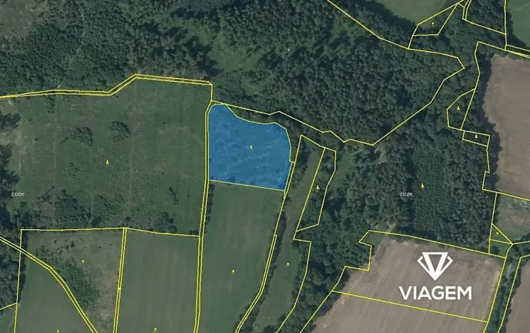 Prodej lesa, Mohelnice, 9122 m2