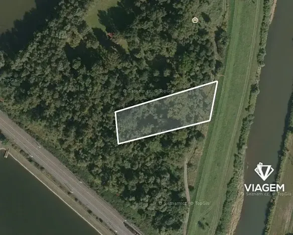 Prodej podílu lesa, Dětmarovice, 1487 m2