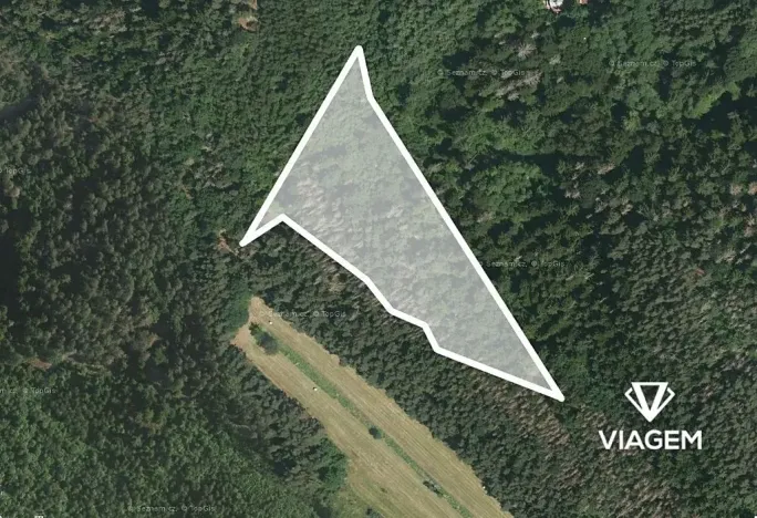 Prodej podílu lesa, Kuřimská Nová Ves, 8824 m2