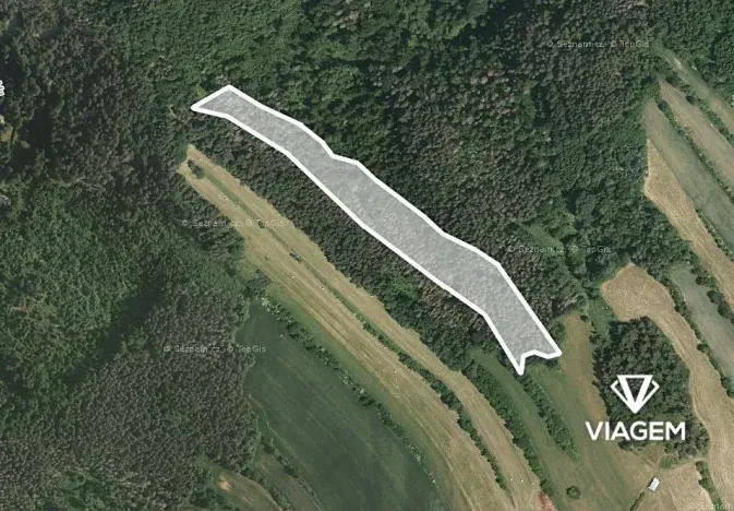 Prodej podílu lesa, Kuřimská Nová Ves, 6242 m2