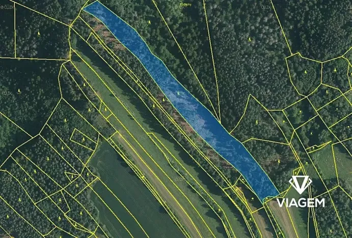 Prodej podílu lesa, Kuřimská Nová Ves, 6242 m2