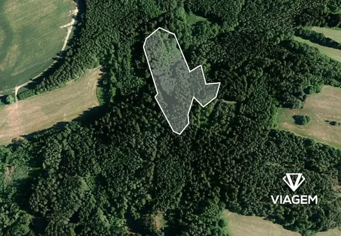 Prodej lesa, Bochovice, 10509 m2