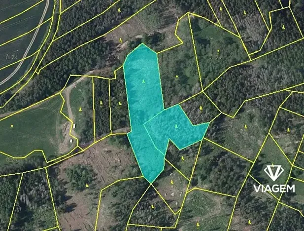 Prodej lesa, Bochovice, 10509 m2