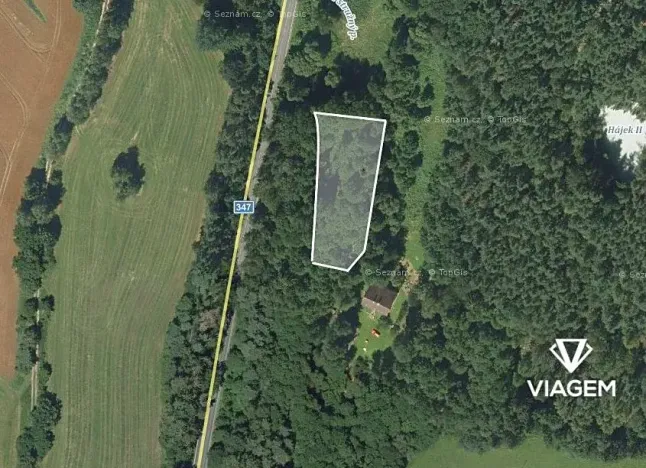 Prodej podílu lesa, Dolní Město, 388 m2