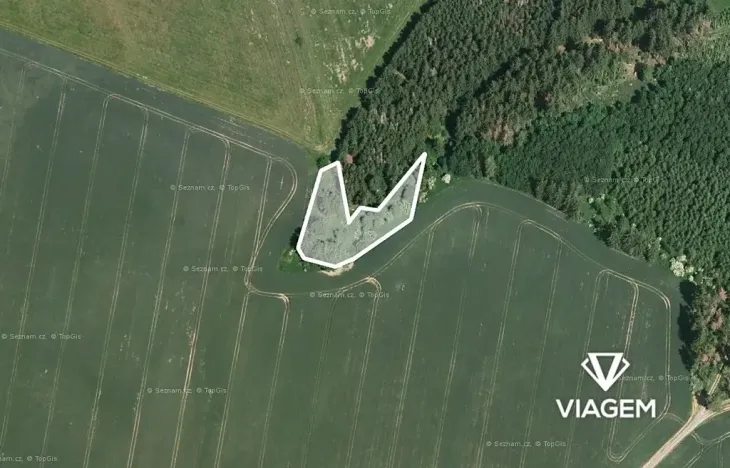 Prodej podílu lesa, Radošovice, 683 m2