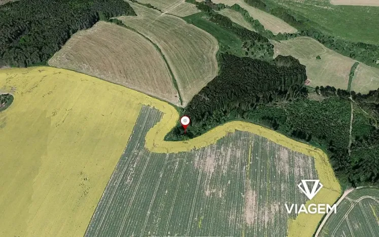 Prodej podílu lesa, Radošovice, 683 m2