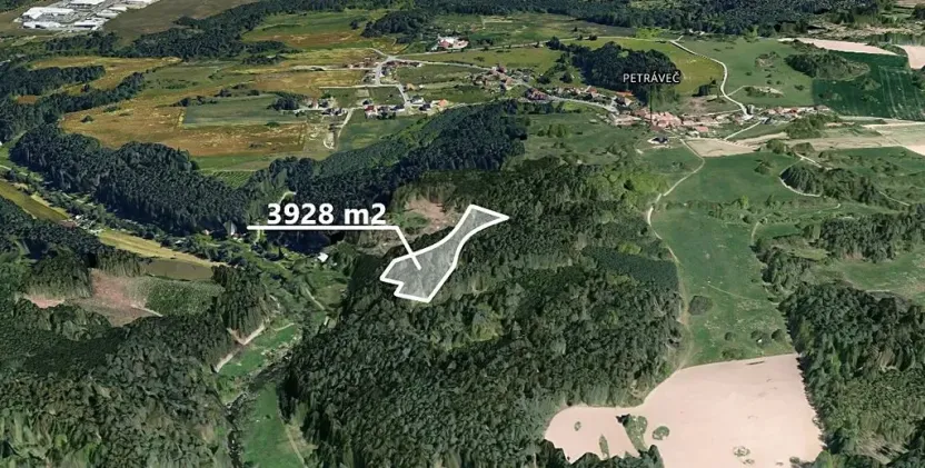 Prodej podílu lesa, Petráveč, 3927 m2