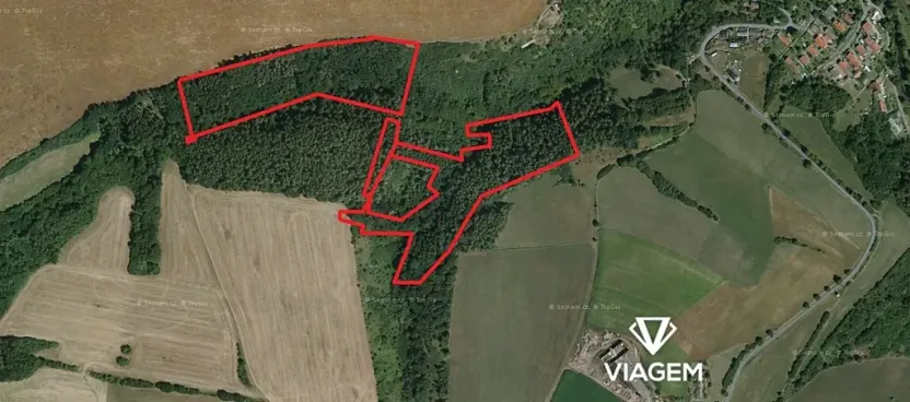 Prodej podílu lesa, Chlum, 8736 m2