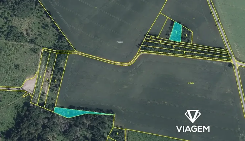 Prodej lesa, Bačice, 8463 m2