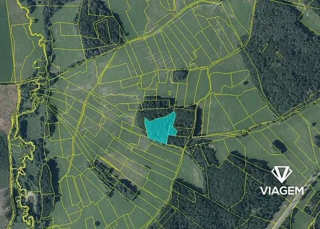 Prodej podílu lesa, Vítanov, 1399 m2