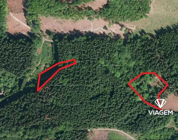 Prodej podílu lesa, Růžďka, 26713 m2