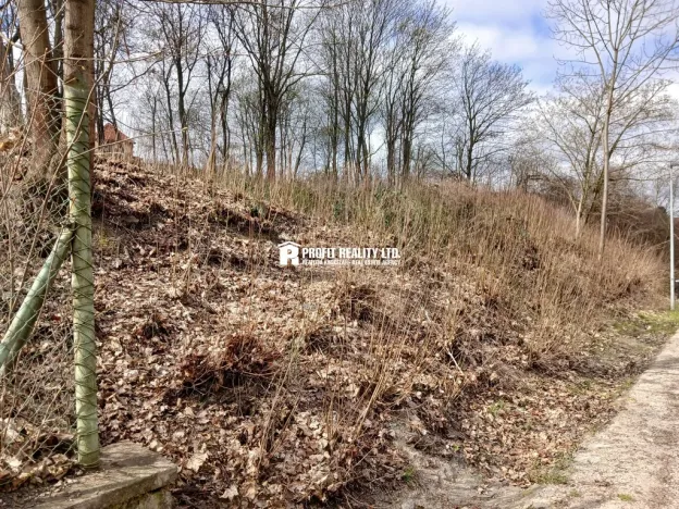 Prodej pozemku pro bydlení, Praha, Solnická, 1944 m2