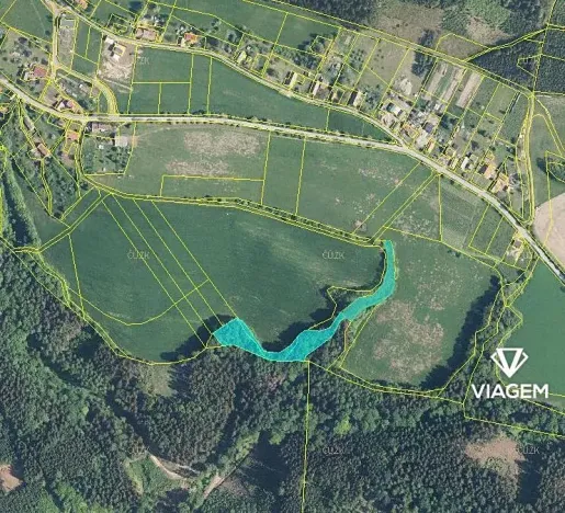 Prodej podílu lesa, Syřenov, 4299 m2