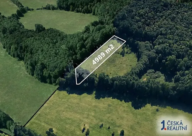 Prodej louky, Karlovice, 4989 m2