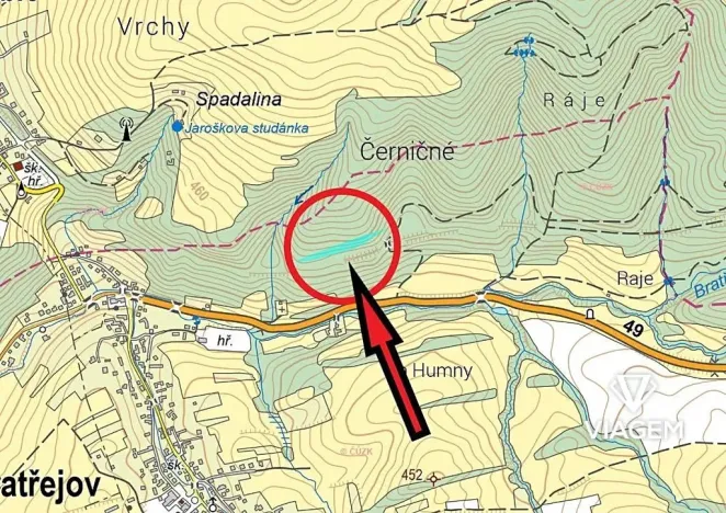 Prodej lesa, Bratřejov, 4091 m2