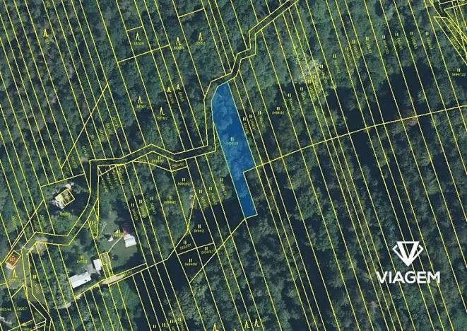 Prodej podílu lesa, Kněždub, 3060 m2