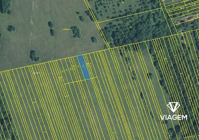 Prodej podílu lesa, Kněždub, 3060 m2