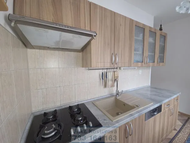 Prodej bytu 2+1, Krnov - Pod Bezručovým vrchem, Jiráskova, 55 m2