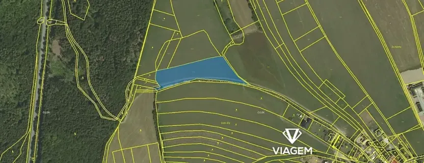 Prodej podílu pole, Velenov, 2564 m2