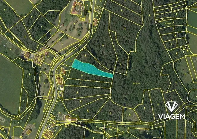 Prodej lesa, Letovice, 2436 m2