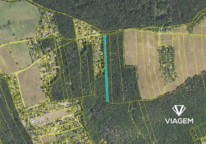 Prodej lesa, Vráž, 3233 m2