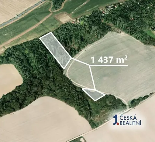 Prodej lesa, Chyňava, 1437 m2