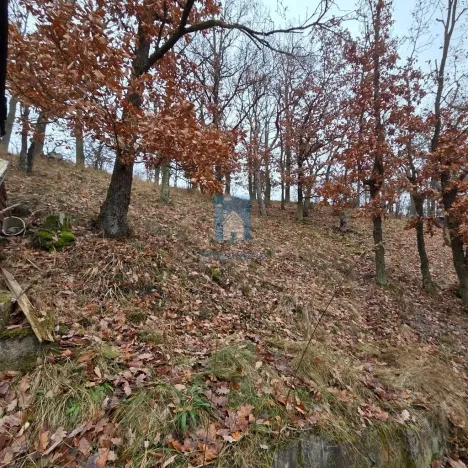 Prodej chaty, Újezd nade Mží, 25 m2