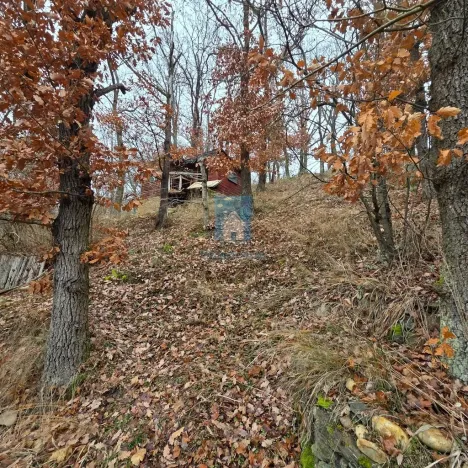 Prodej chaty, Újezd nade Mží, 25 m2