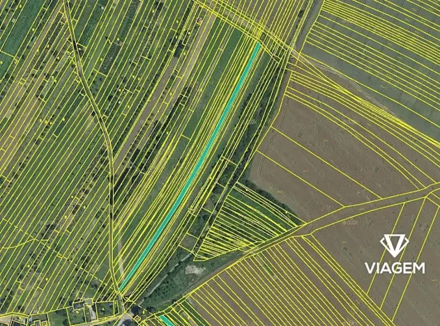 Prodej podílu pole, Domanín, 1969 m2