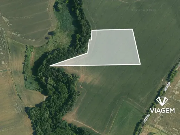 Prodej pole, Královice, 18594 m2