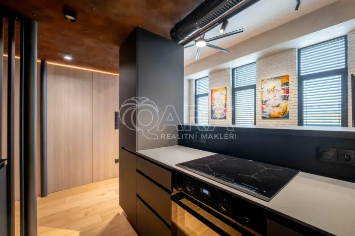 Pronájem bytu 1+kk, Praha - Holešovice, Tusarova, 53 m2