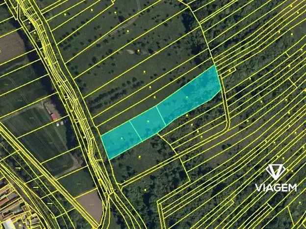 Prodej podílu pole, Javorník, 4763 m2