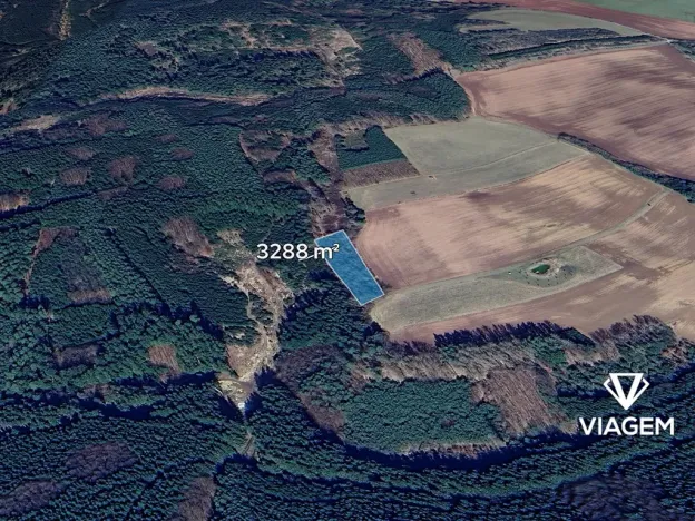 Prodej lesa, Konojedy, 3288 m2