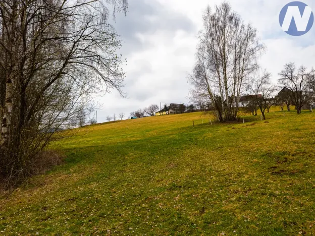 Prodej pozemku pro bydlení, Bošice, 9772 m2