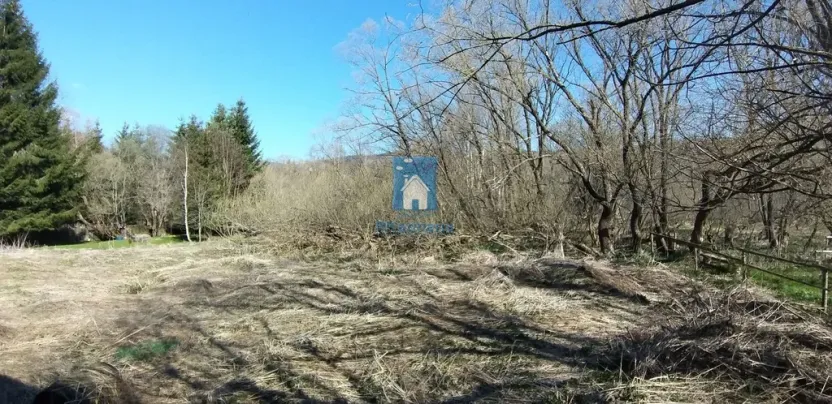 Prodej pozemku pro bydlení, Horní Vltavice, 4794 m2