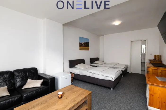 Prodej ubytování, Starý Plzenec, Masarykovo náměstí, 480 m2