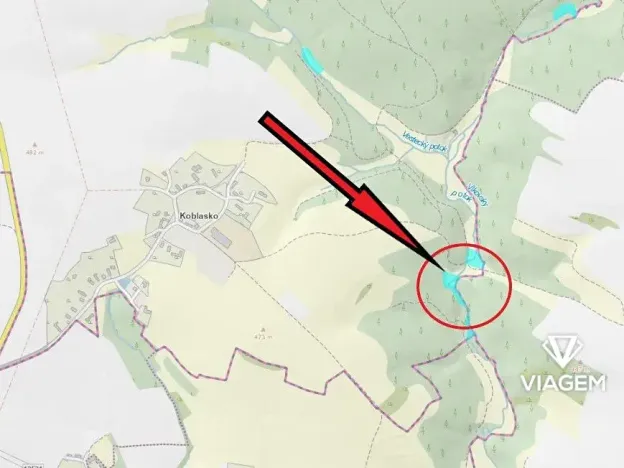 Prodej lesa, Zbizuby, 6015 m2